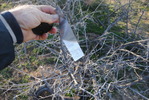 photo thumbnail #4