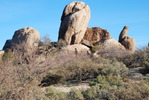 photo thumbnail #8