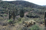 photo thumbnail #11