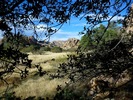 photo thumbnail #11