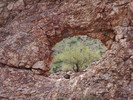 photo thumbnail #9
