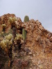 photo thumbnail #12