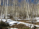 photo thumbnail #4