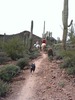 photo thumbnail #4