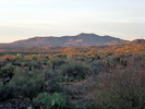photo thumbnail #2