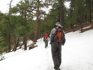 photo thumbnail #5