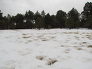 photo thumbnail #8