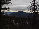 photo thumbnail #14