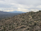photo thumbnail #7