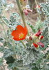 Featured Detail Photo