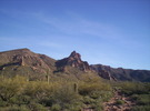 photo thumbnail #2