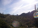 photo thumbnail #5