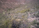photo thumbnail #7