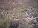 photo thumbnail #8