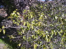 photo thumbnail #11