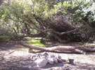 photo thumbnail #12
