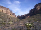 photo thumbnail #14