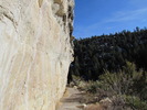 photo thumbnail #12