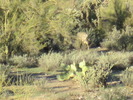 photo thumbnail #2