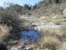 photo thumbnail #11