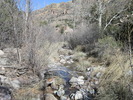 photo thumbnail #13
