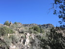 photo thumbnail #14