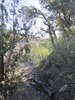 photo thumbnail #15