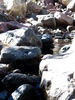 photo thumbnail #11