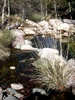 photo thumbnail #13