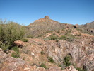 photo thumbnail #1