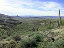 photo thumbnail #7