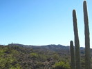 photo thumbnail #5