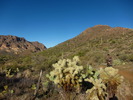 photo thumbnail #10