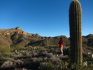 photo thumbnail #14