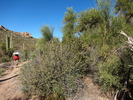 2012-01-01 :2: Alamo Canyon - AZT #17 :: writelots