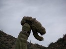 photo thumbnail #8