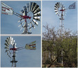 photo thumbnail #3