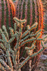 photo thumbnail #4
