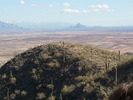 photo thumbnail #2