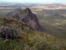 photo thumbnail #5