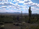 photo thumbnail #9