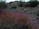 photo thumbnail #10