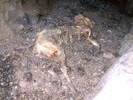 photo thumbnail #3
