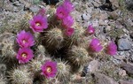 photo thumbnail #8