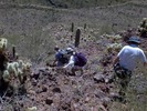 photo thumbnail #11