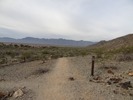 photo thumbnail #10
