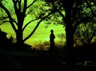 photo thumbnail #15