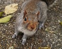 photo thumbnail #10