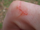 photo thumbnail #12
