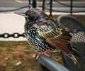 photo thumbnail #6